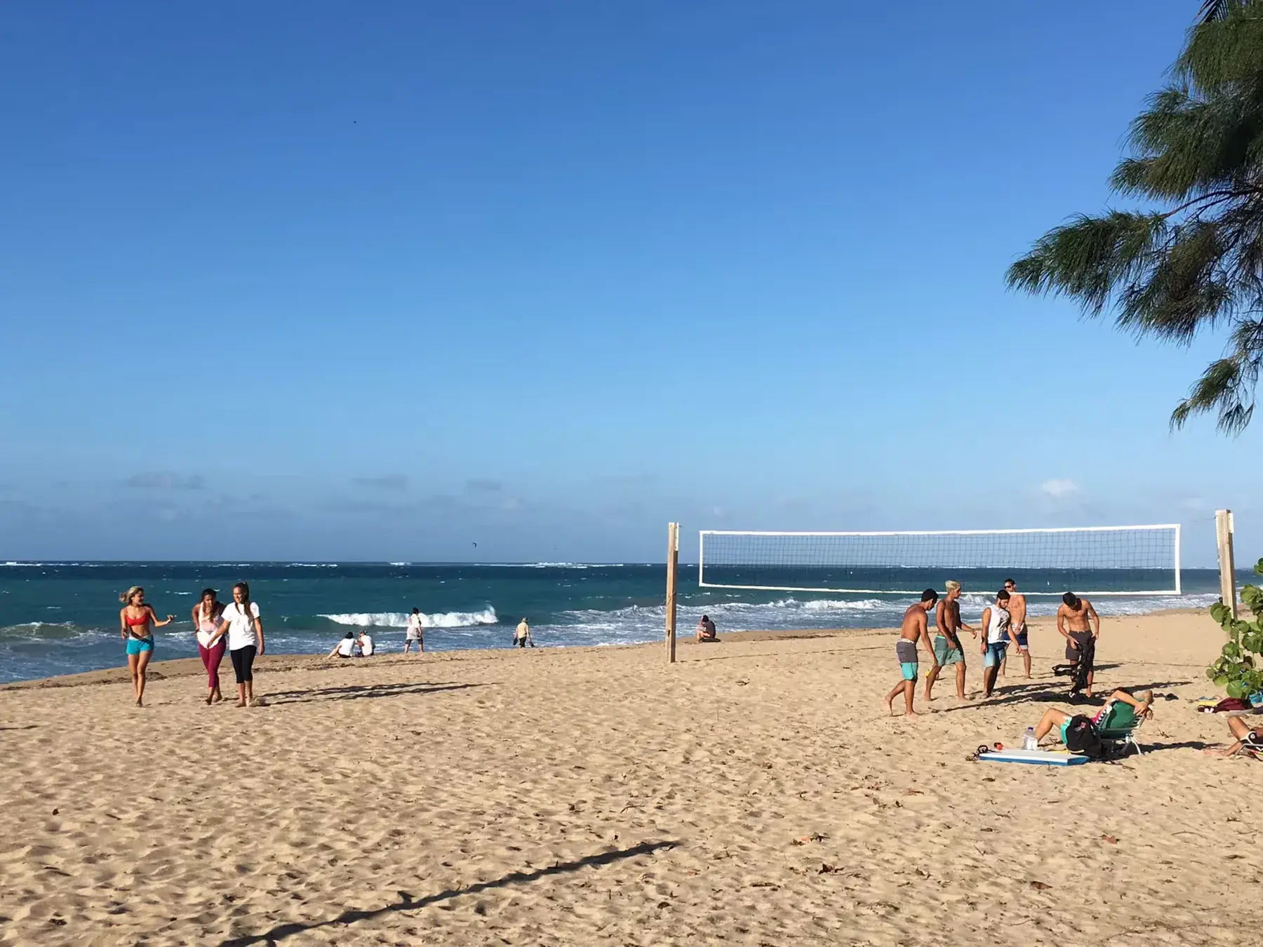 The quiet end of Ocean Park Beach, two minutes from 59 Taft